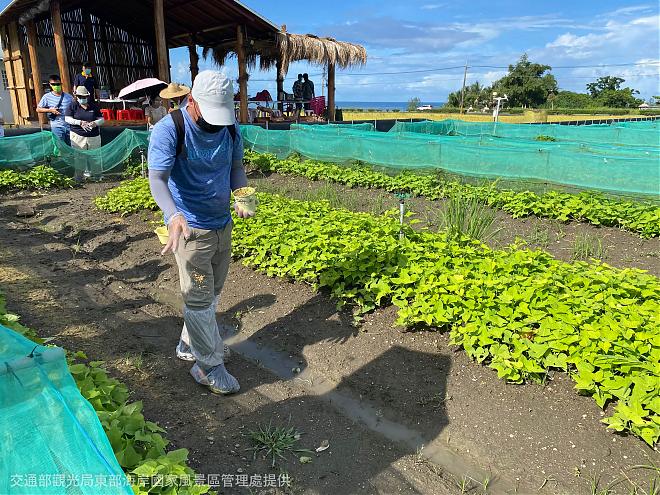 《雙濱生活趣》台東東海岸白玉蝸牛農場生態體驗之旅