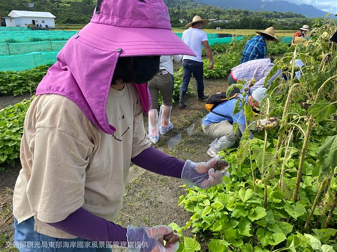 《雙濱生活趣》台東東海岸白玉蝸牛農場生態體驗之旅