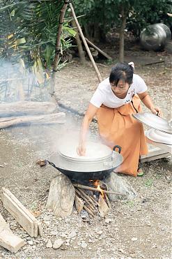 《悠遊南迴》台東南迴知本森林療癒.山地酒釀製.原式美食