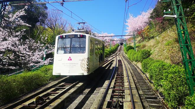 京都 | 天橋立x美山町小合掌村一日遊(中文/大阪京都兩地出發)