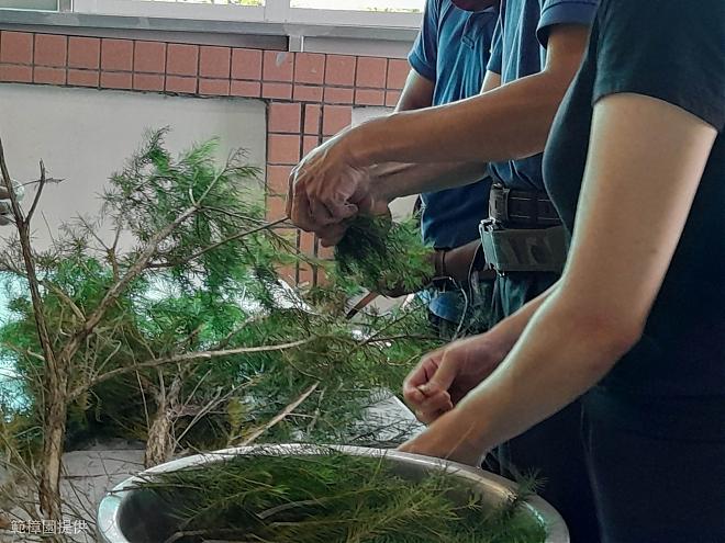 《悠遊南迴》台東有機農場純露.精油香膏.小盆栽DIY