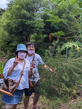 《悠遊南迴》台東有機農場純露.精油香膏.小盆栽DIY