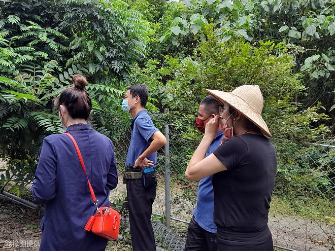 《悠遊南迴》台東有機農場純露.精油香膏.小盆栽DIY