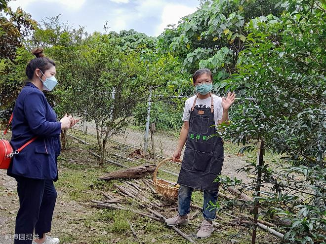 《悠遊南迴》台東有機農場純露.精油香膏.小盆栽DIY