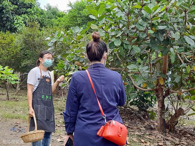 《悠遊南迴》台東有機農場純露.精油香膏.小盆栽DIY