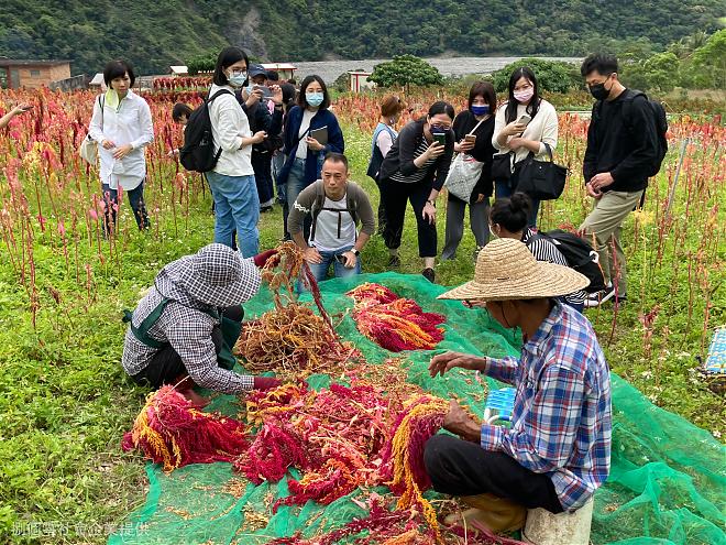 《悠遊南迴》台東南迴部落工作假期｜Masengseng換工旅行