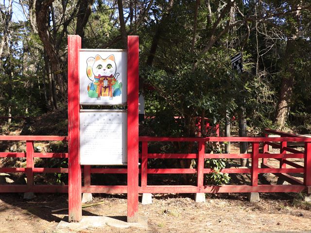 宮城縣貓島一日遊|仙台出發