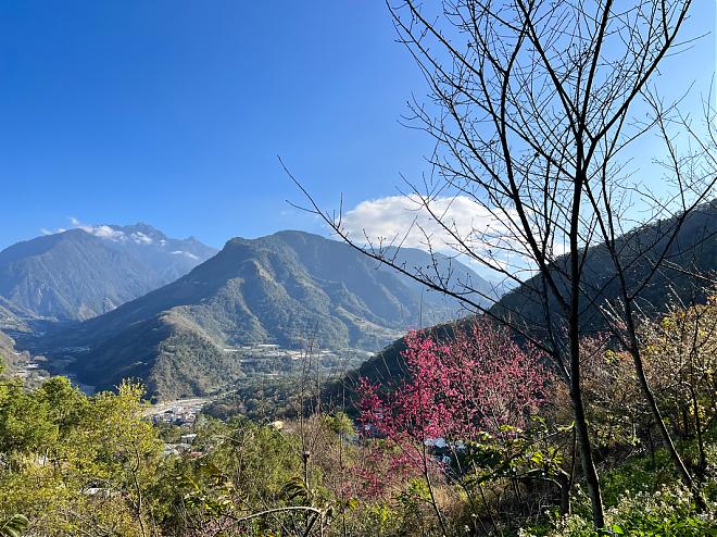 郡大山百岳＆獵人古道望美山二日登山團 ｜全程輕裝往返