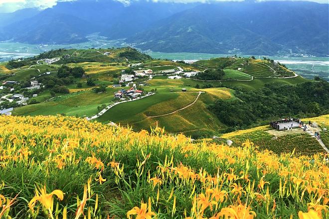 花蓮六十石山金針賞花祭．百年糖廠浪漫金針1日遊
