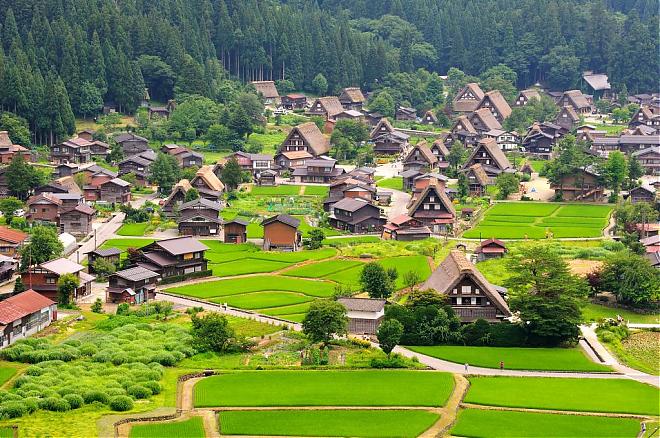 2024白川鄉點燈・高山一日遊|名古屋出發(含餐/飛驒牛定食)