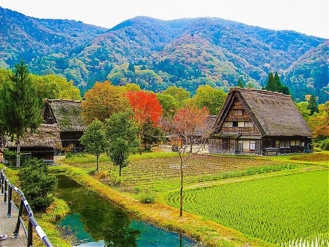 2024白川鄉點燈・高山一日遊|名古屋出發(含餐/飛驒牛定食)