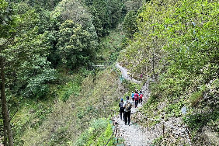 雪霸觀霧森態小旅行二日遊｜入住觀霧山莊