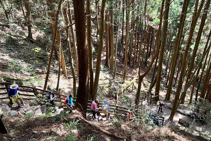 雪霸觀霧森態小旅行二日遊｜入住觀霧山莊