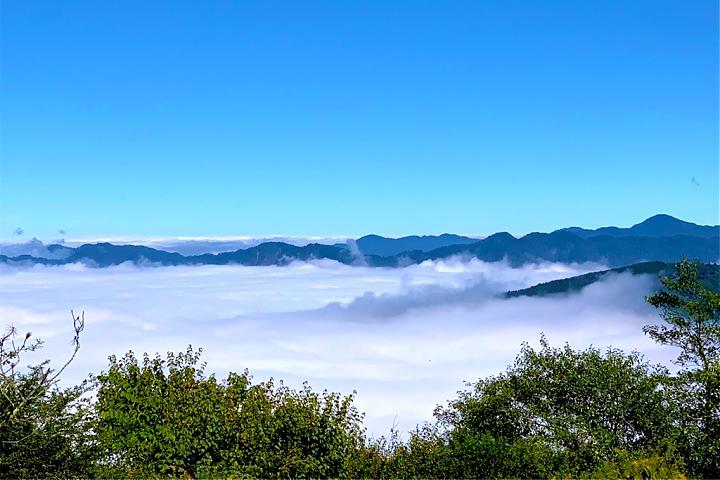 雪霸觀霧森態小旅行二日遊｜入住觀霧山莊