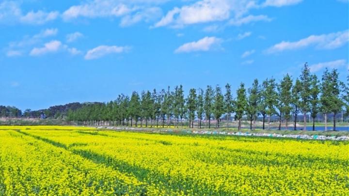四季江陵x鏡浦台x光影體驗x高空腳踏車2日遊(入住烏竹韓屋村/中文服務)