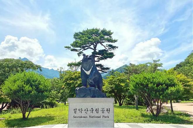 2025江陵秋季賞楓＆韓屋體驗二日遊｜雪嶽山楓紅.朝聖韓劇拍攝地(中文服務)