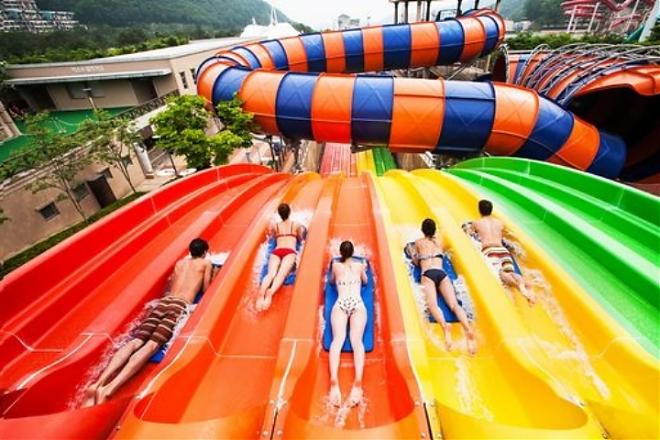夏日限定 SONO 水上樂園 羊駝世界 義大利村 兩天一夜團