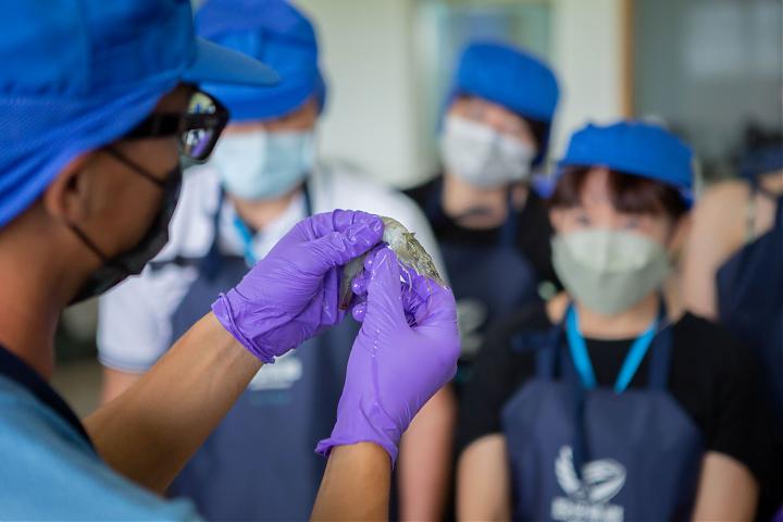台南七股食魚教育行程｜厚工蝦人?! 白蝦加工廠體驗