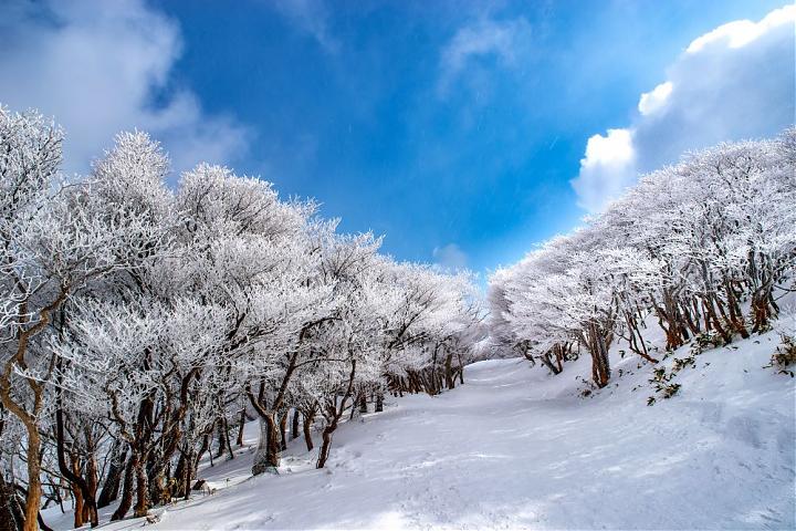 名古屋出發|御在所岳玩雪＆Aquaignis 美人片岡天然溫泉一日遊