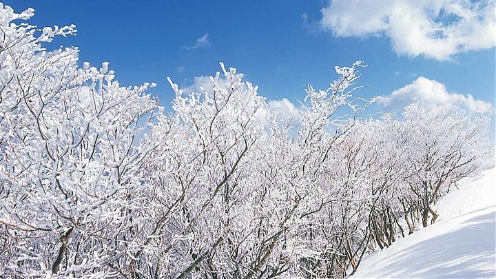 名古屋出發|御在所岳玩雪＆Aquaignis 美人片岡天然溫泉一日遊