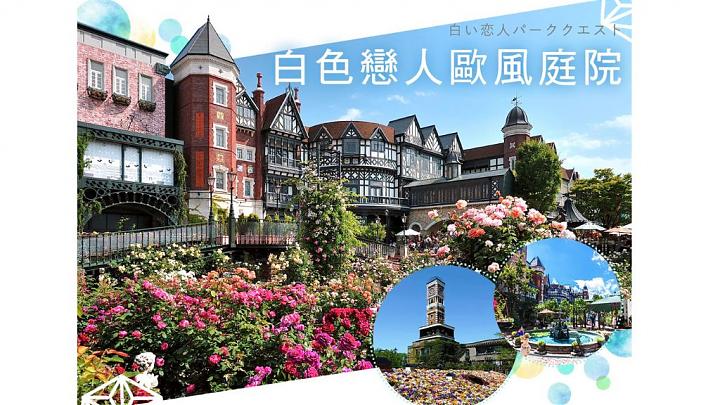 北海道星空五日｜升等星野OMO5、小樽君樂｜函館夜景＆企鵝遊行