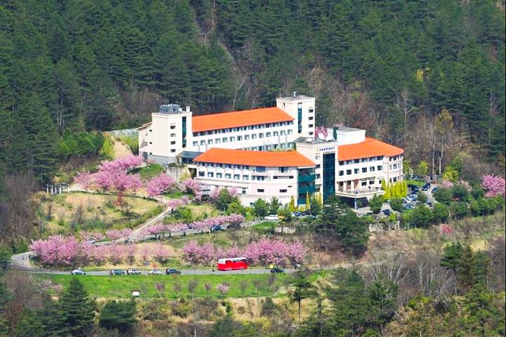 來去雪山七卡．武陵桃山瀑布．樂水部落三日遊｜入住武陵富野