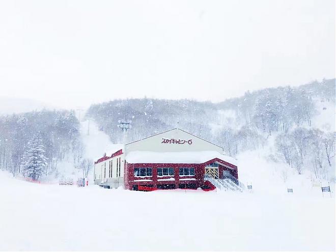 北海道小樽運河.玩雪札幌滑雪場一日遊|札幌出發