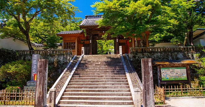 東京出發|伊豆河津櫻早櫻&草莓採摘&修善寺溫泉一日遊