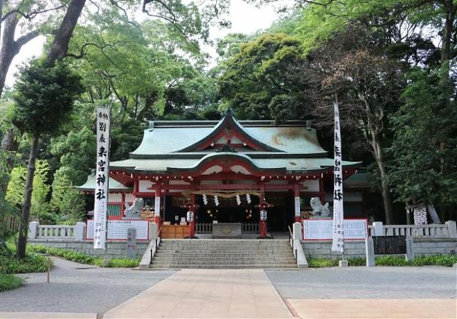 東京出發|伊豆河津櫻早櫻&草莓採摘&修善寺溫泉一日遊