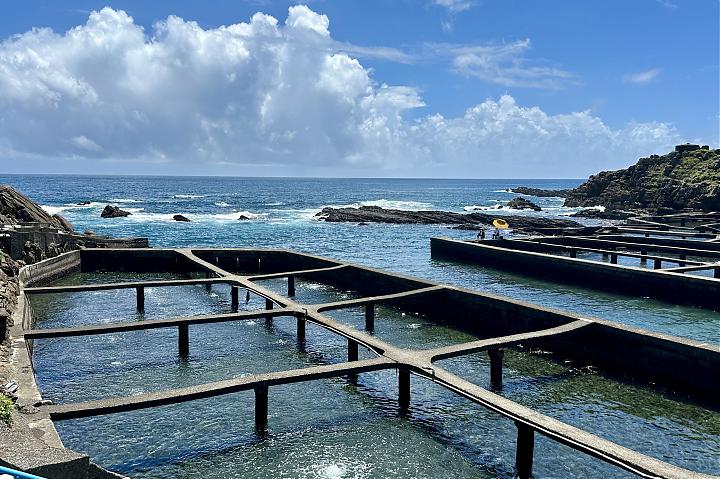 東北角漁村旬味小旅行｜餵九孔鮮體驗、海風單車騎行
