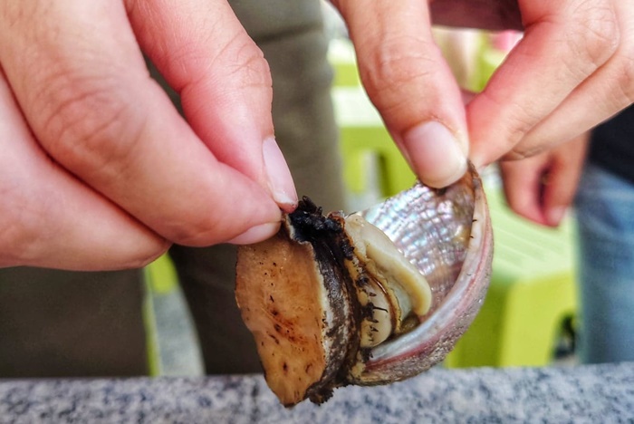 東北角漁村旬味小旅行｜餵九孔鮮體驗、海風單車騎行