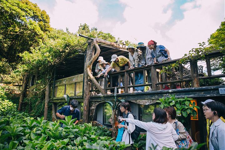 探訪陽明山珍奇「藍綠寶石」｜藍寶石泉x綠寶湖田一日遊