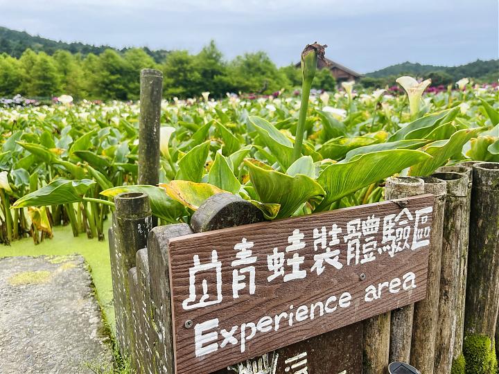 探訪陽明山珍奇「藍綠寶石」｜藍寶石泉x綠寶湖田一日遊