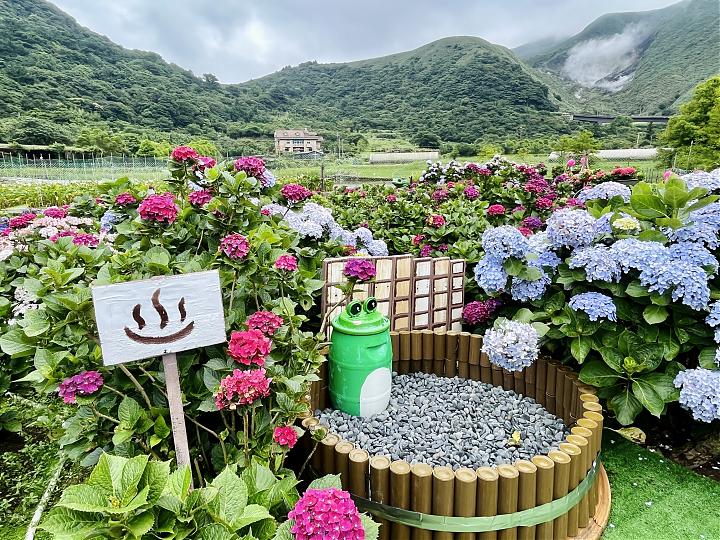 探訪陽明山珍奇「藍綠寶石」｜藍寶石泉x綠寶湖田一日遊