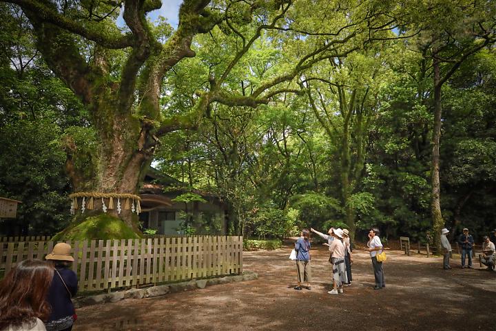 日本愛知陶器散步六日｜探訪古窯．風格生活之旅