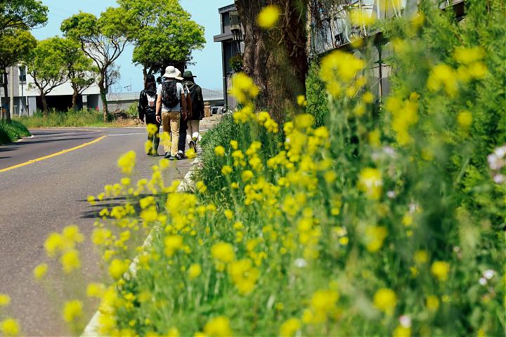 勾搭勾搭・偶來｜濟州島徒步登山分享會x新手友善