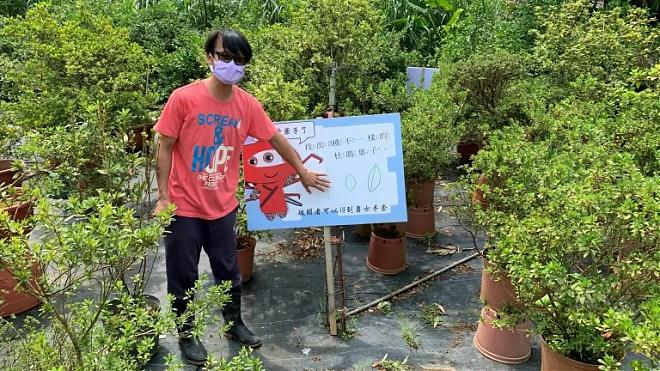 皇冠海岸 觀光圈套票｜金山野柳田園家庭歡樂趣(兩大一小)