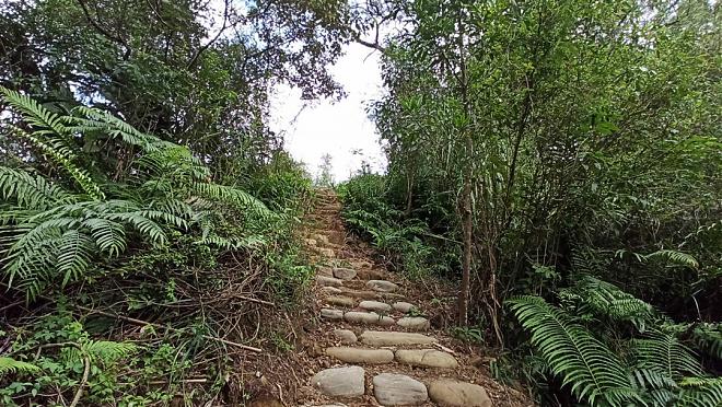 穿越石碇｜生態光點行旅包